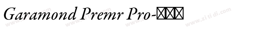 Garamond Premr Pro字体转换